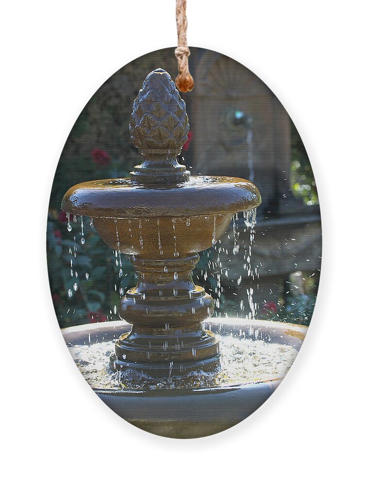 Fountain Ornament featuring the photograph Pine Cone Fountain by Diana Haronis