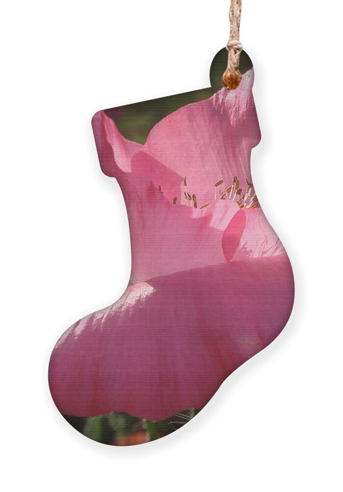 Poppy Ornament featuring the photograph Pink Poppy by Yvonne Johnstone
