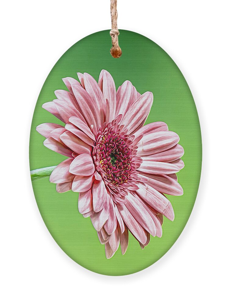 Daisy Ornament featuring the photograph Pinky On Lime by Bill and Linda Tiepelman