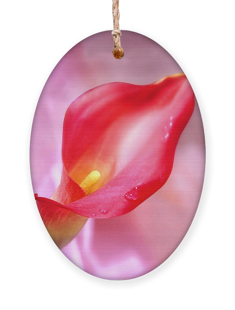 Red Calla Lily Ornament featuring the photograph Red Calla Lily by Mike McGlothlen