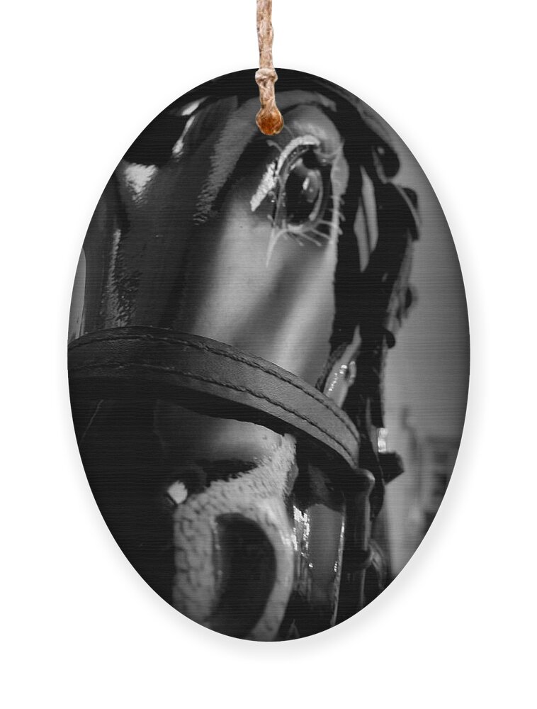 Rocking Horse Ornament featuring the photograph Rocking Horse 1 by Richard Reeve