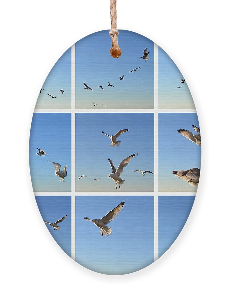 Seagull Ornament featuring the photograph Seagull Collage 2 by Michelle Calkins