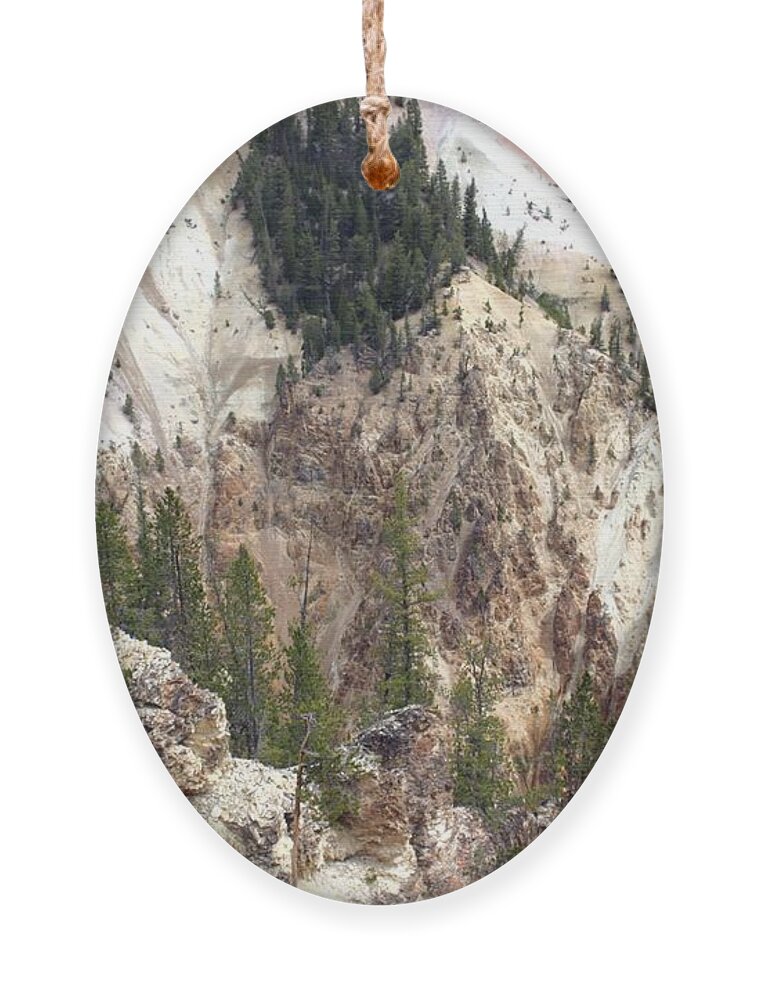 Grand Canyon Ornament featuring the photograph Sit For A Spell At Grand Canyon In Yellowstone by Living Color Photography Lorraine Lynch