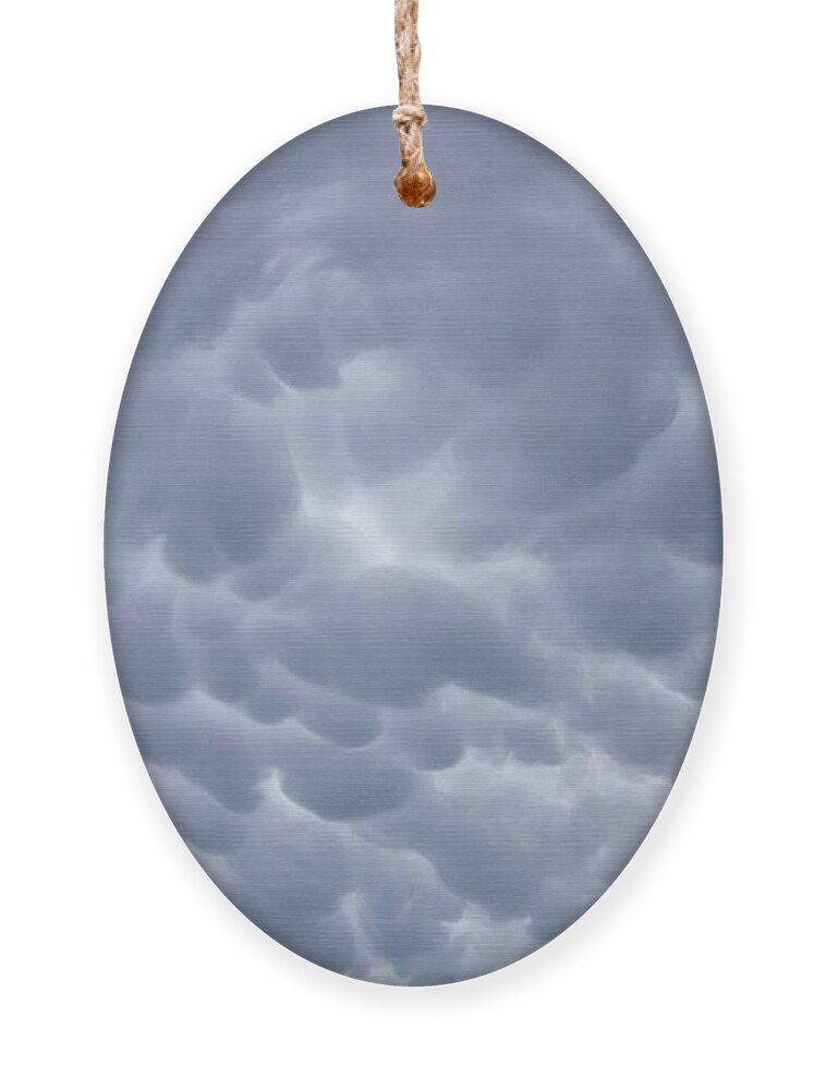 Storm Clouds Ornament featuring the photograph Something Wicked This Way Comes by Dorrene BrownButterfield