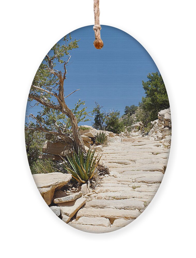 Trail Ornament featuring the photograph Steps on the Hermit's Rest Trail II by Julie Niemela