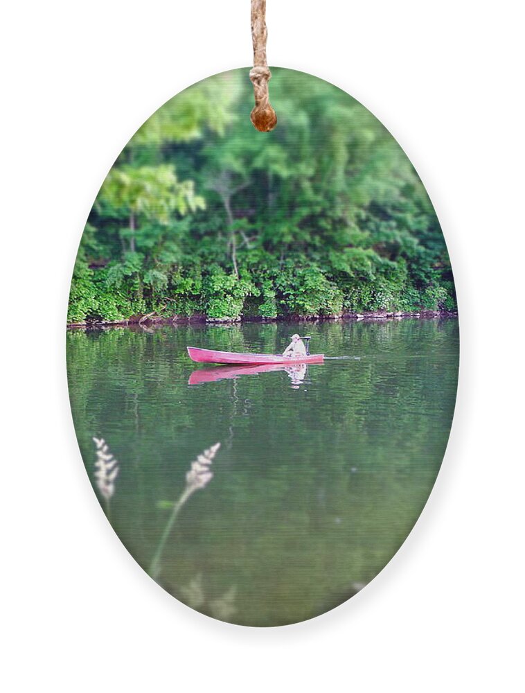 Brandywine River Ornament featuring the photograph The red canoe by Richard Reeve