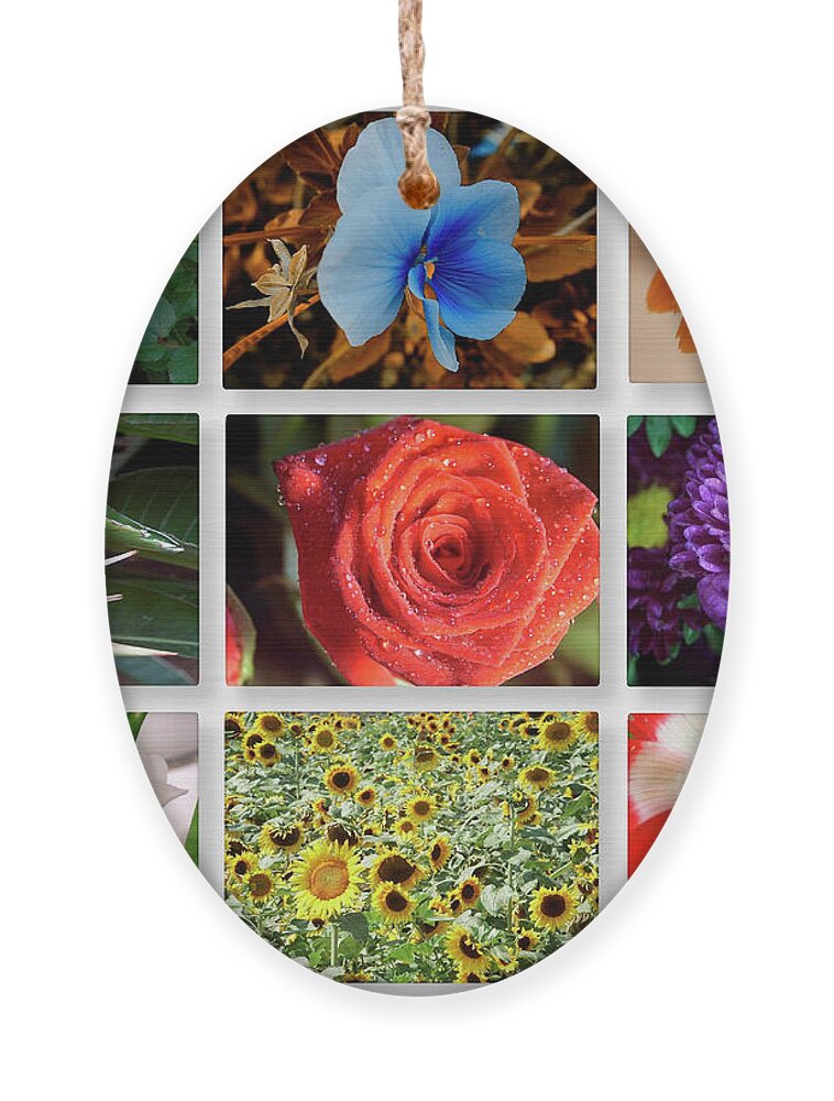 Tmj Ornament featuring the photograph 9 Image Collage Of Flowers #1 by Tomi Junger