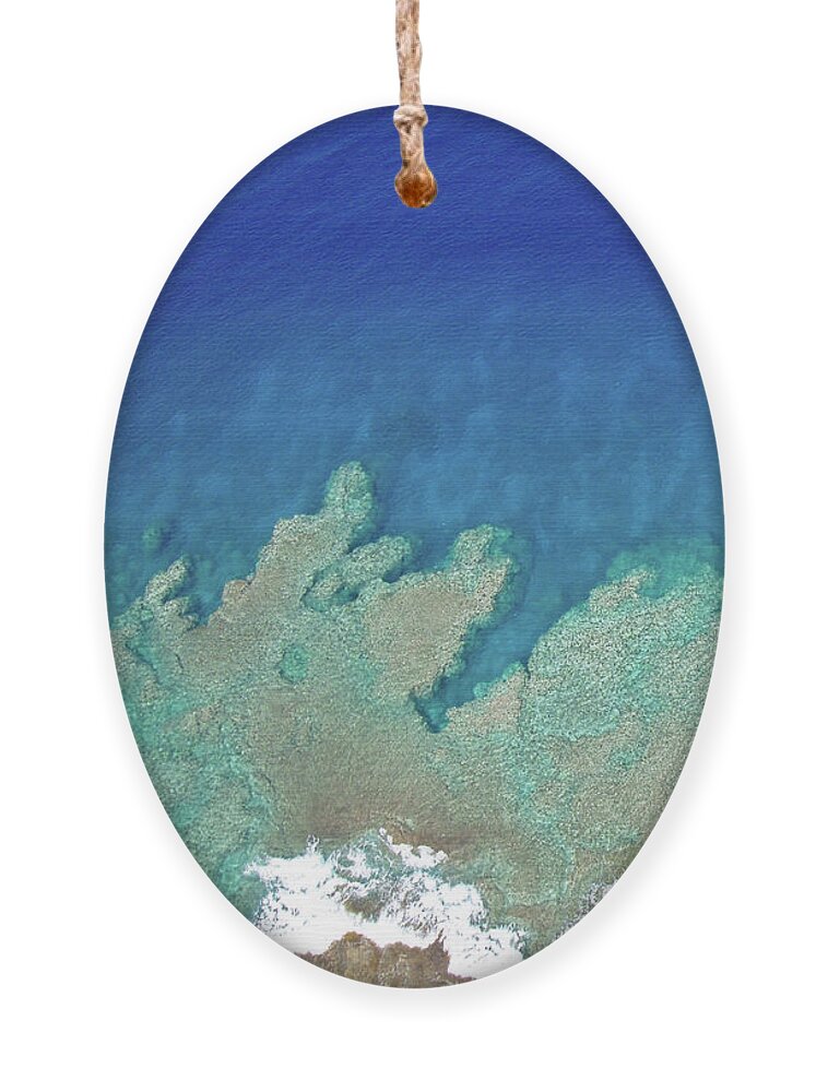 Aerial Ornament featuring the photograph Abstract Aerial Reef by Denise Bird