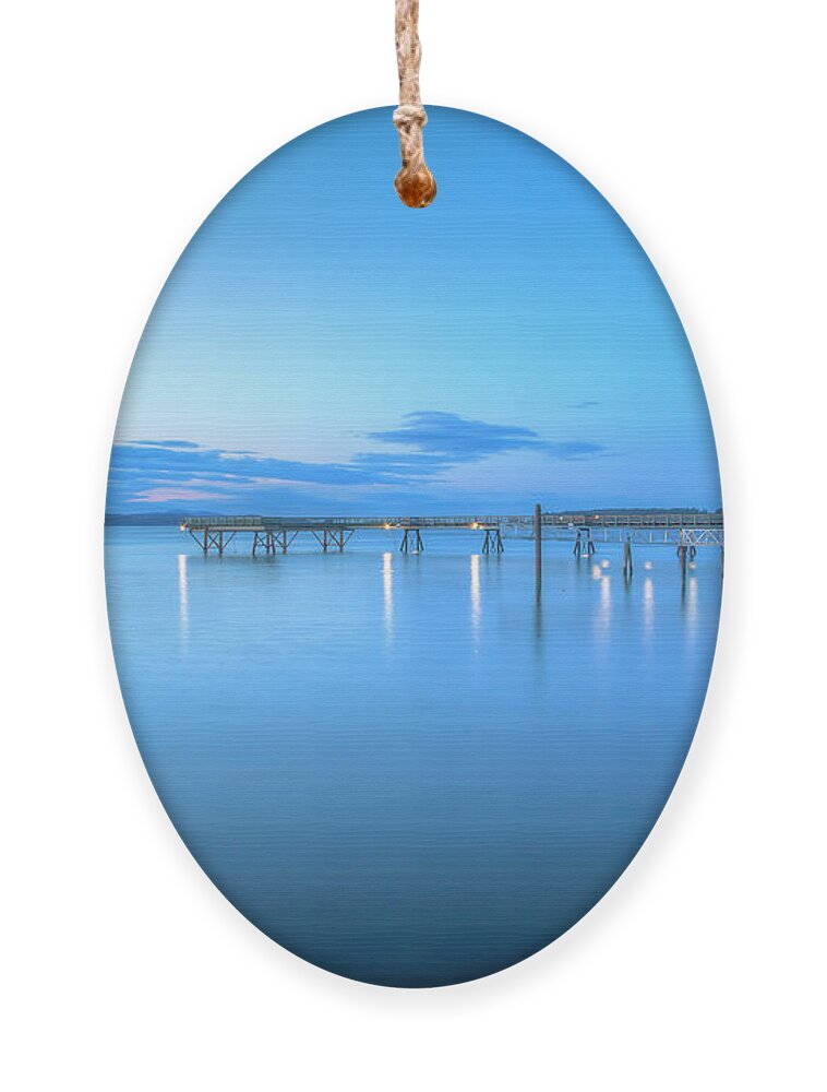 Blue Hour Ornament featuring the photograph Blue Hour by Kristina Rinell