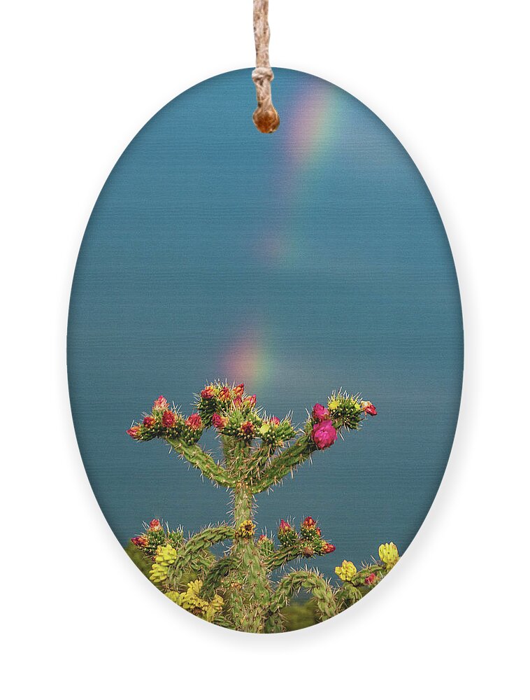 Natanson Ornament featuring the photograph Cholla Rainbow #1 by Steven Natanson