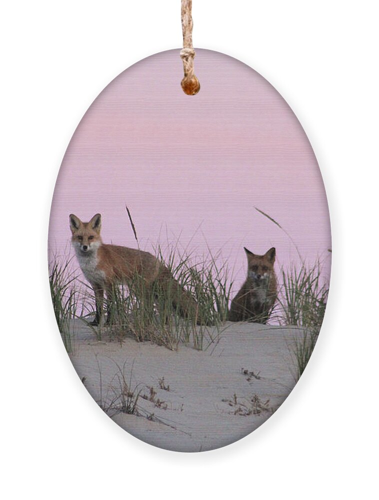 Fox Ornament featuring the photograph Fox and Vixen by Robert Banach