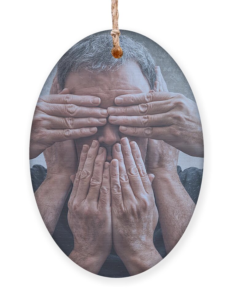 365 Project Ornament featuring the photograph Hear, See, Speak by Scott Norris