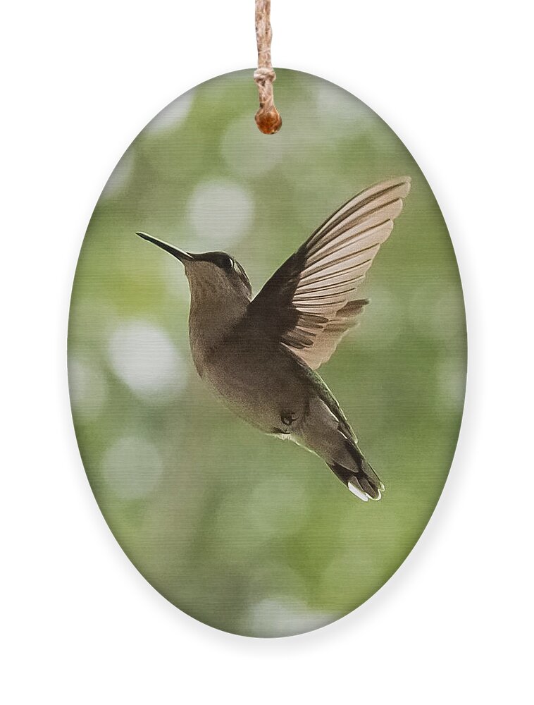 Hummingbird Ornament featuring the photograph Hummingbird by Holden The Moment