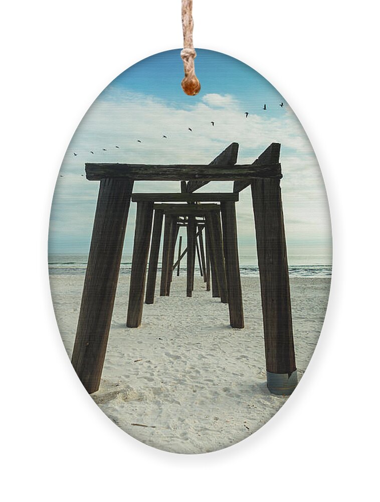 Gulf Of Mexico Ornament featuring the photograph Life of a Pier II #1 by Raul Rodriguez