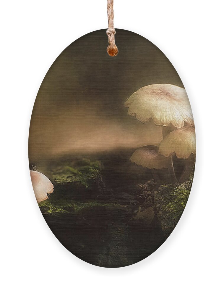 Wisconsin Ornament featuring the photograph Magic Mushrooms by Scott Norris
