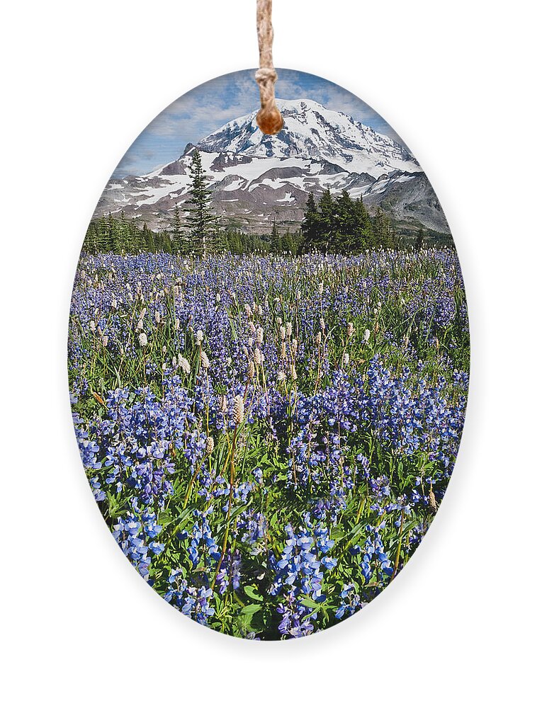 Alpine Ornament featuring the photograph Meadow of Lupine Near Mount Rainier by Jeff Goulden