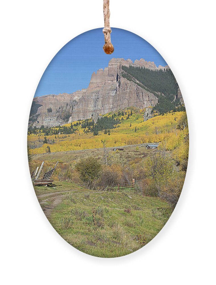 Colorado Aspen Landscape Ornament featuring the photograph Mountain Home by Jim Garrison