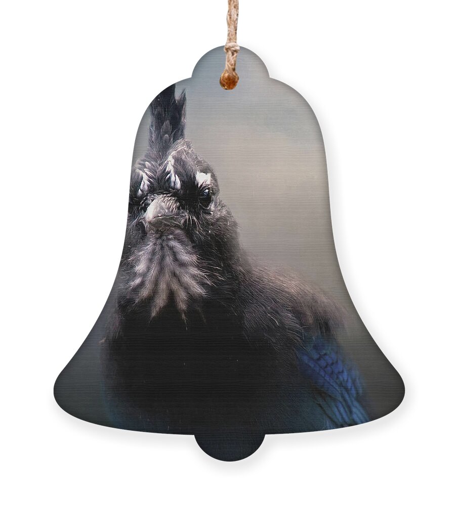 Animal Ornament featuring the photograph Steller's Jay by Lana Trussell