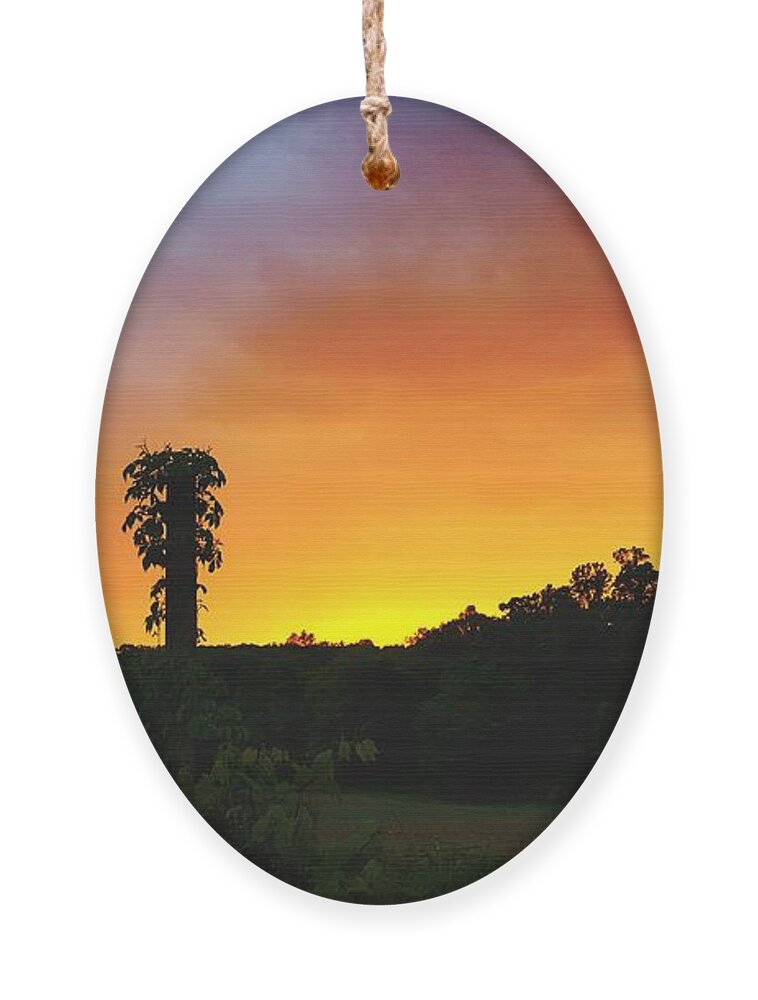 Sunset Ornament featuring the photograph Sundown #1 by Dani McEvoy