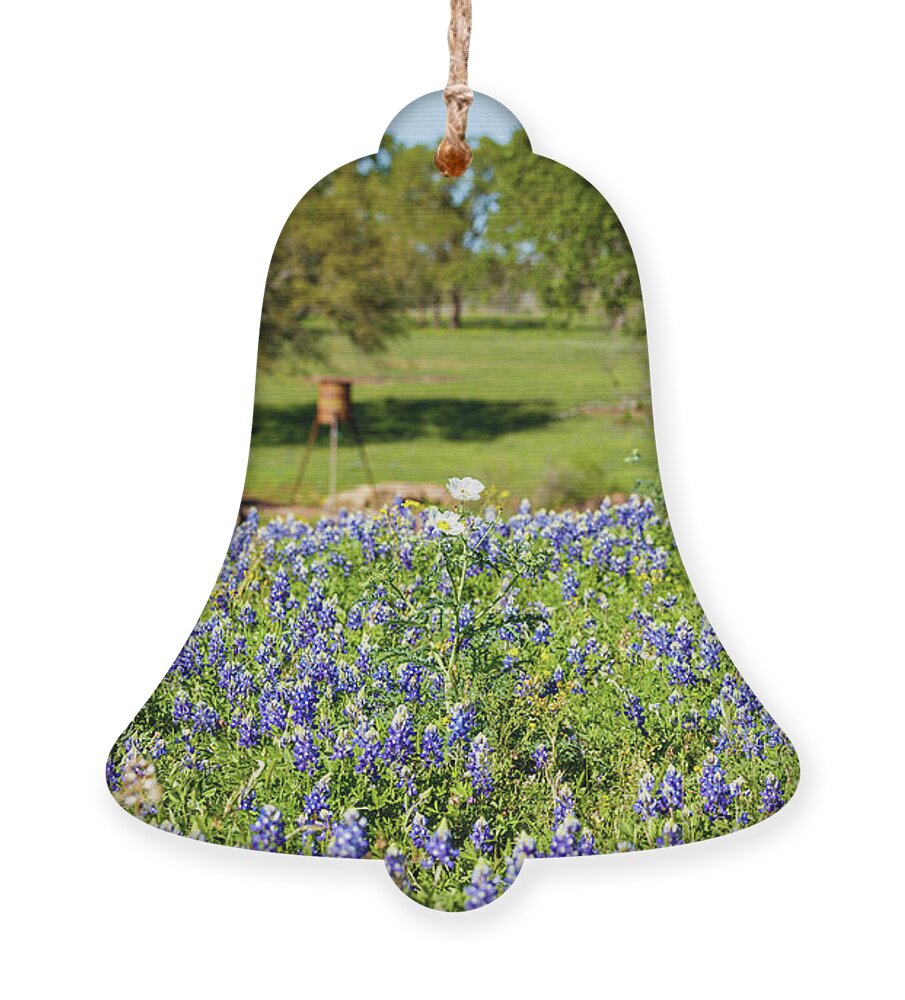 Austin Ornament featuring the photograph Texas Wildflowers #1 by Raul Rodriguez