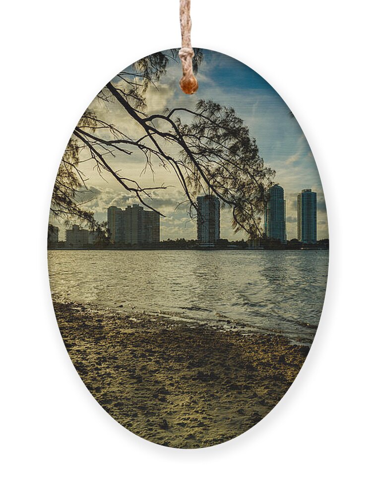 Architecture Ornament featuring the photograph Miami Skyline #18 by Raul Rodriguez
