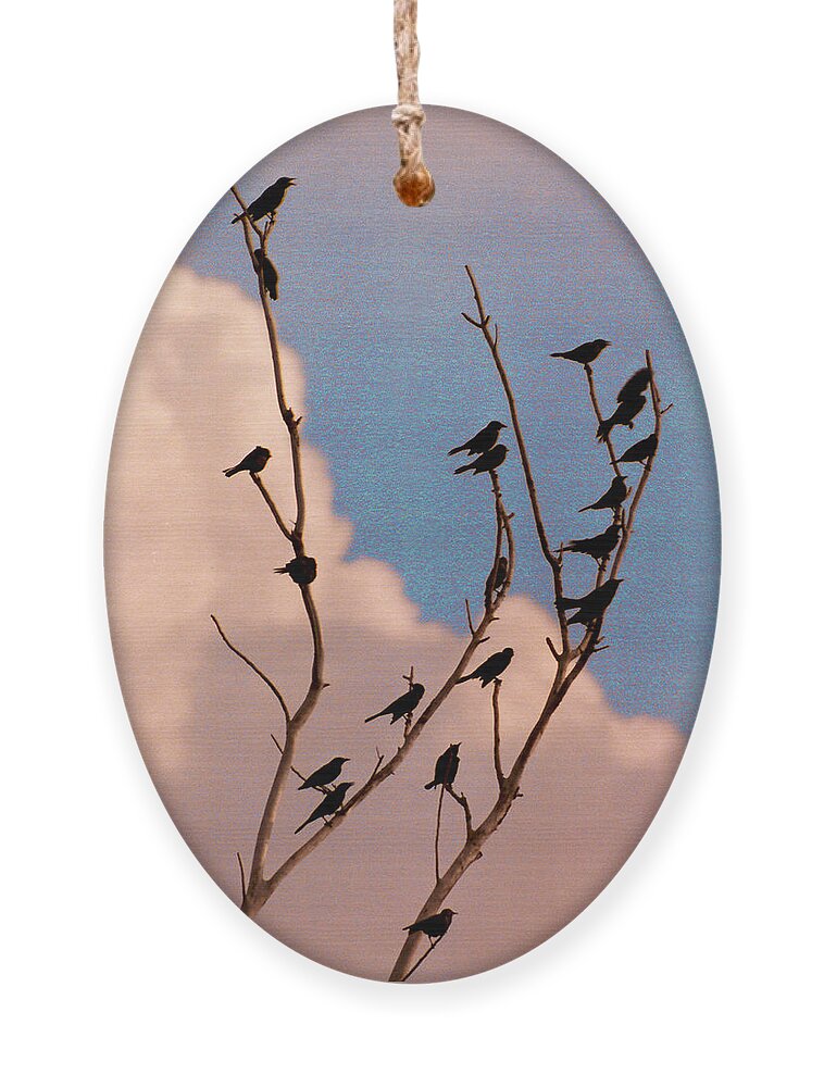 Birds Ornament featuring the photograph 19 Blackbirds by Steve Karol