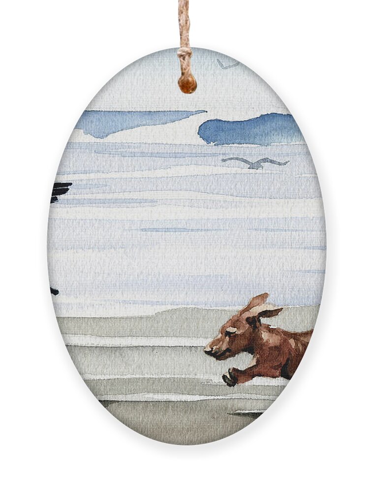 Dachshund Running Playing Seagull Beach Ocean Waves Shore Pet Dog Breed Canine Art Print Artwork Painting Watercolor Gift Gifts Picture Ornament featuring the painting Dachshund at the Beach #7 by David Rogers