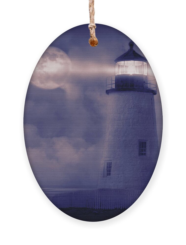 Maine Ornament featuring the photograph Guiding Lights #2 by George Robinson