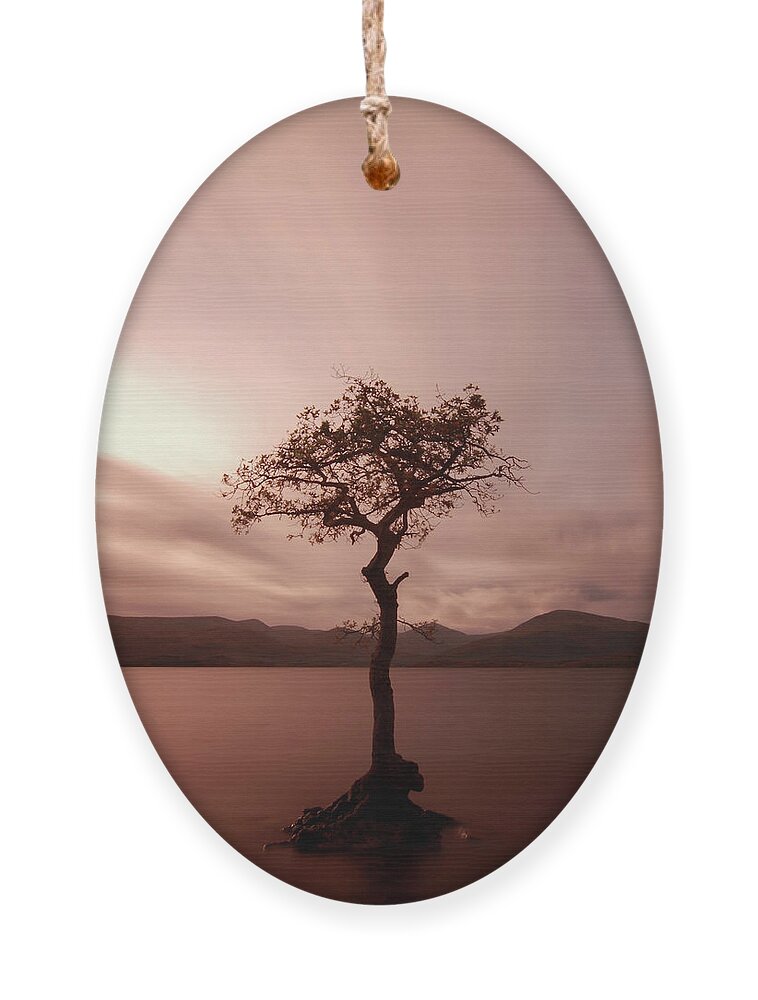 Loch Lomond Ornament featuring the photograph Milarrochy Bay Sunset #2 by Maria Gaellman