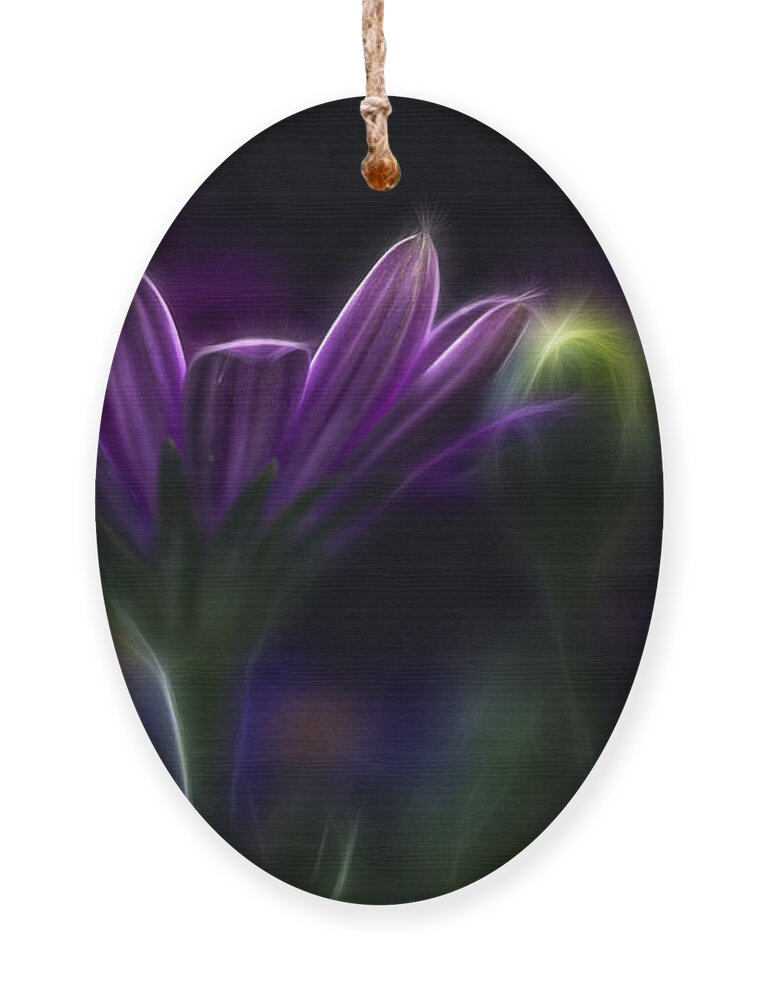 Abstract Ornament featuring the photograph Purple Daisy #2 by Stelios Kleanthous