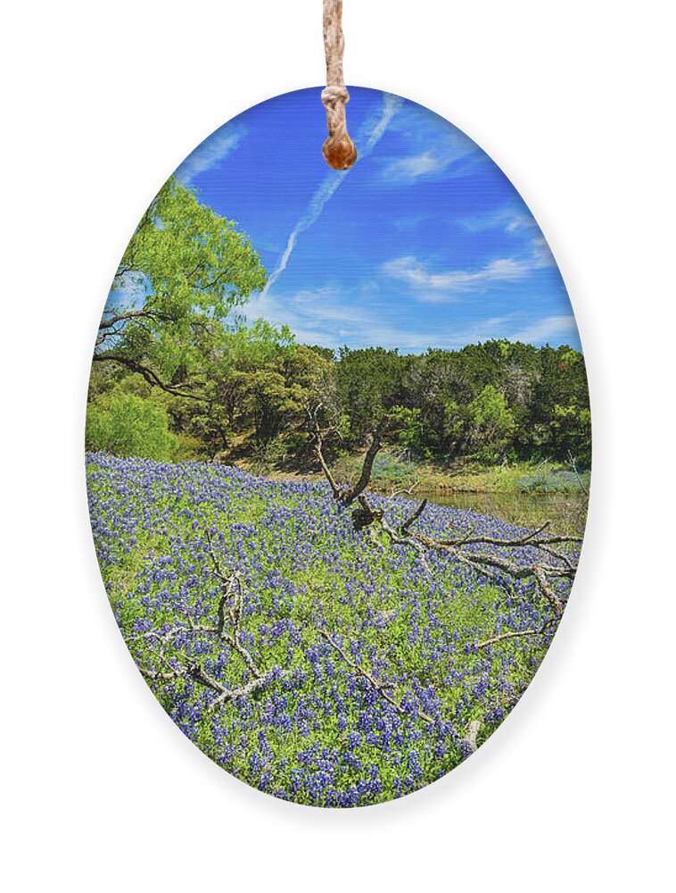 Austin Ornament featuring the photograph Texas Bluebonnets #2 by Raul Rodriguez