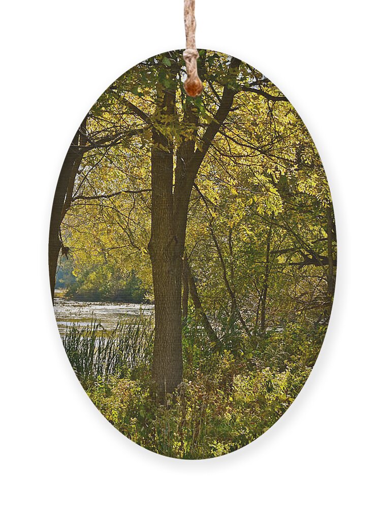 Retention Basin Ornament featuring the photograph 2015 Fall at Acewood Basin by Janis Senungetuk
