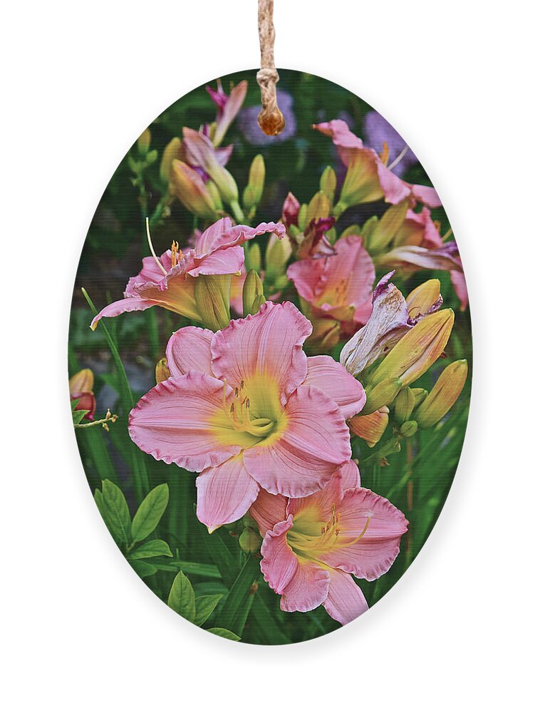 Daylilies Ornament featuring the photograph 2015 Summer at the Garden Daylilies 1 by Janis Senungetuk