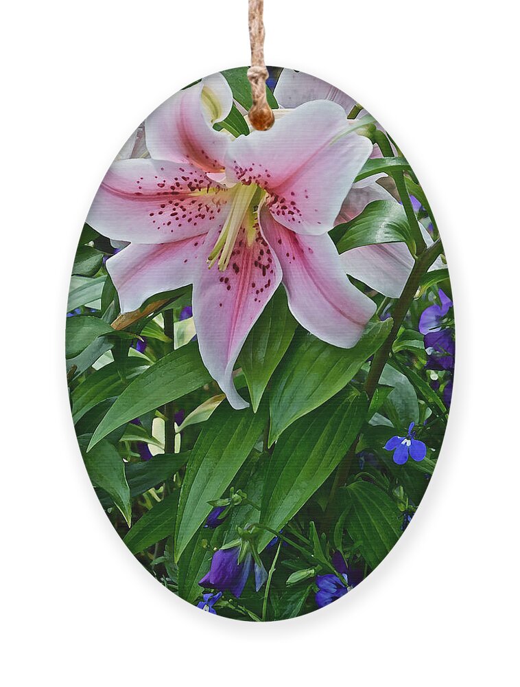 Lilies Ornament featuring the photograph 2015 Summer at the Garden Event Garden Lily 3 by Janis Senungetuk