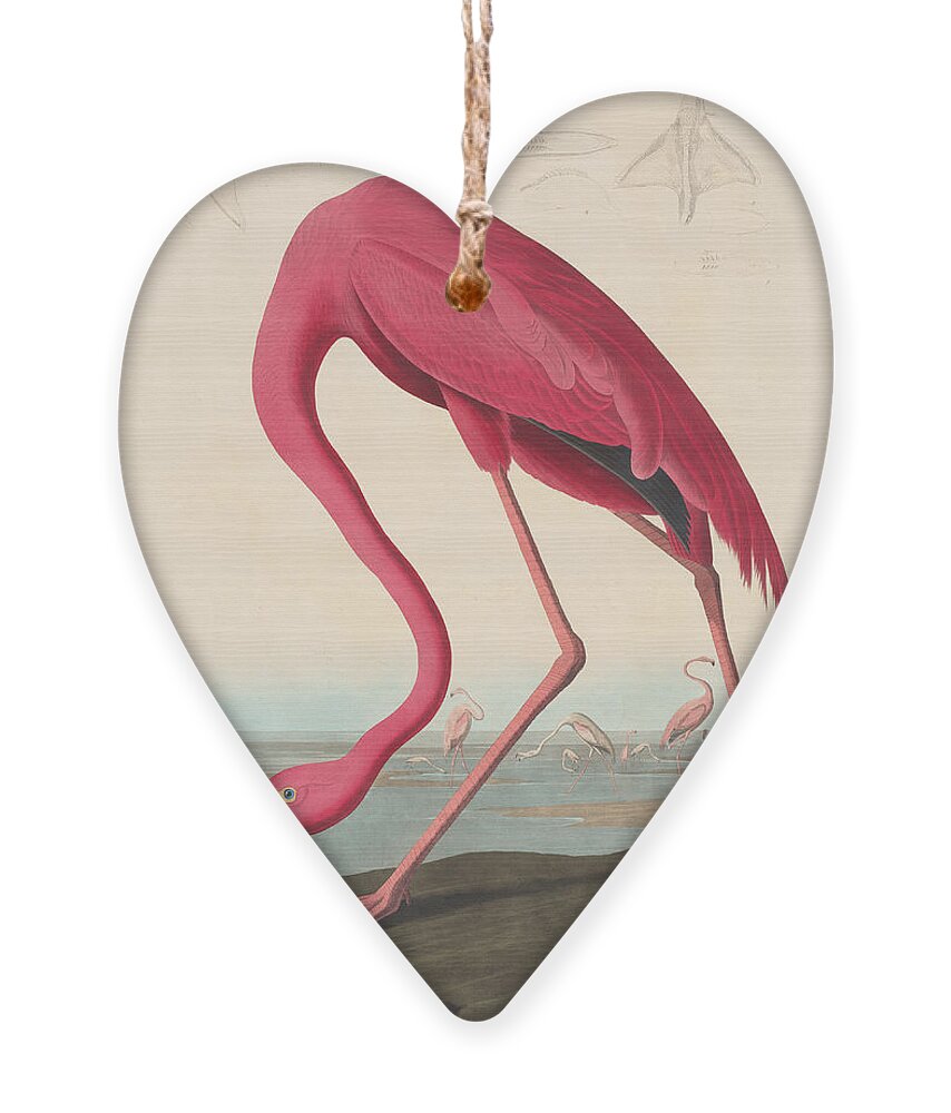 John James Audubon Ornament featuring the painting American Flamingo #6 by John James Audubon