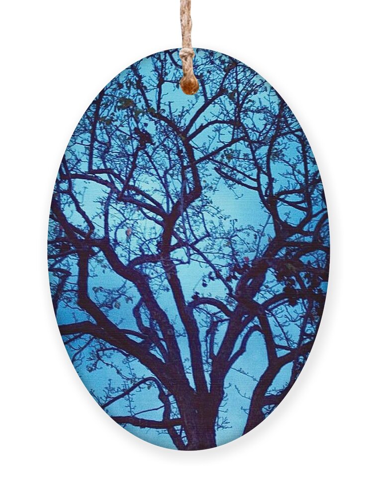Tree Ornament featuring the photograph A Moody Broad by Denise Railey
