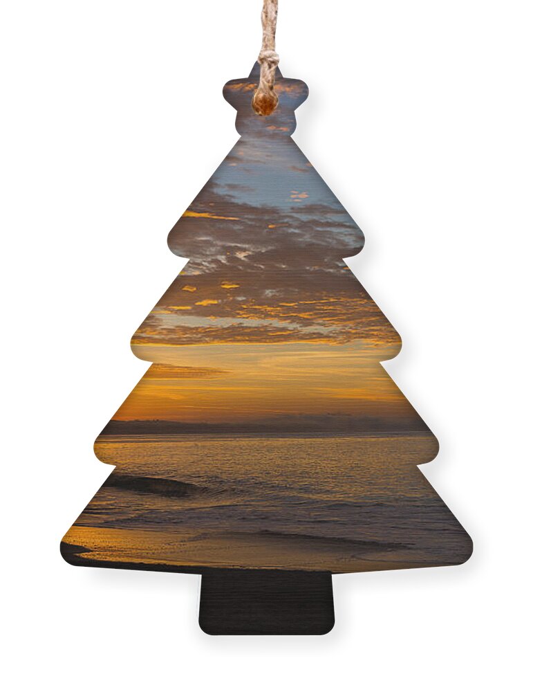 Landscape Ornament featuring the photograph A new day by Lora Lee Chapman