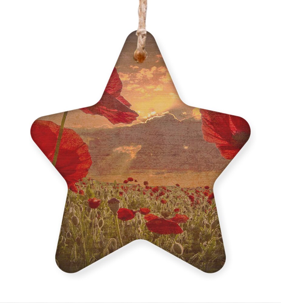 Appalachia Ornament featuring the photograph A Poppy Kind of Morning by Debra and Dave Vanderlaan