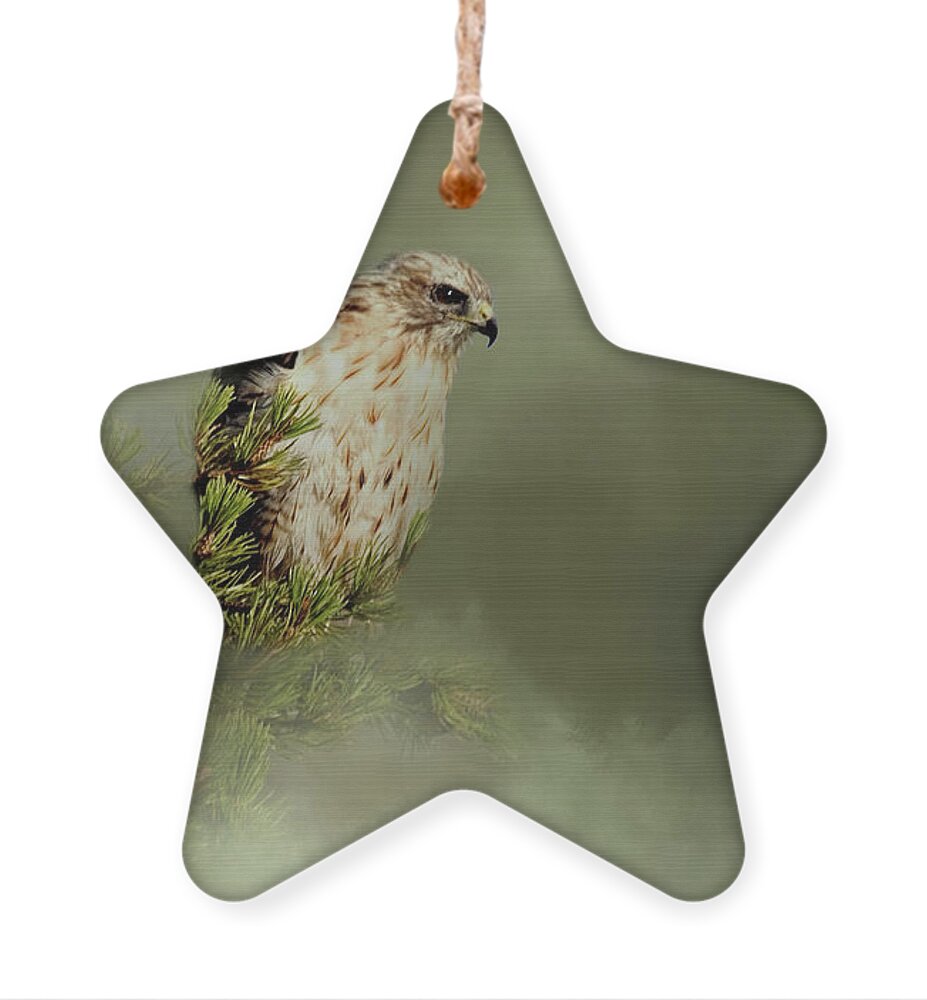 Animal Ornament featuring the photograph A Predators Watch by Lana Trussell