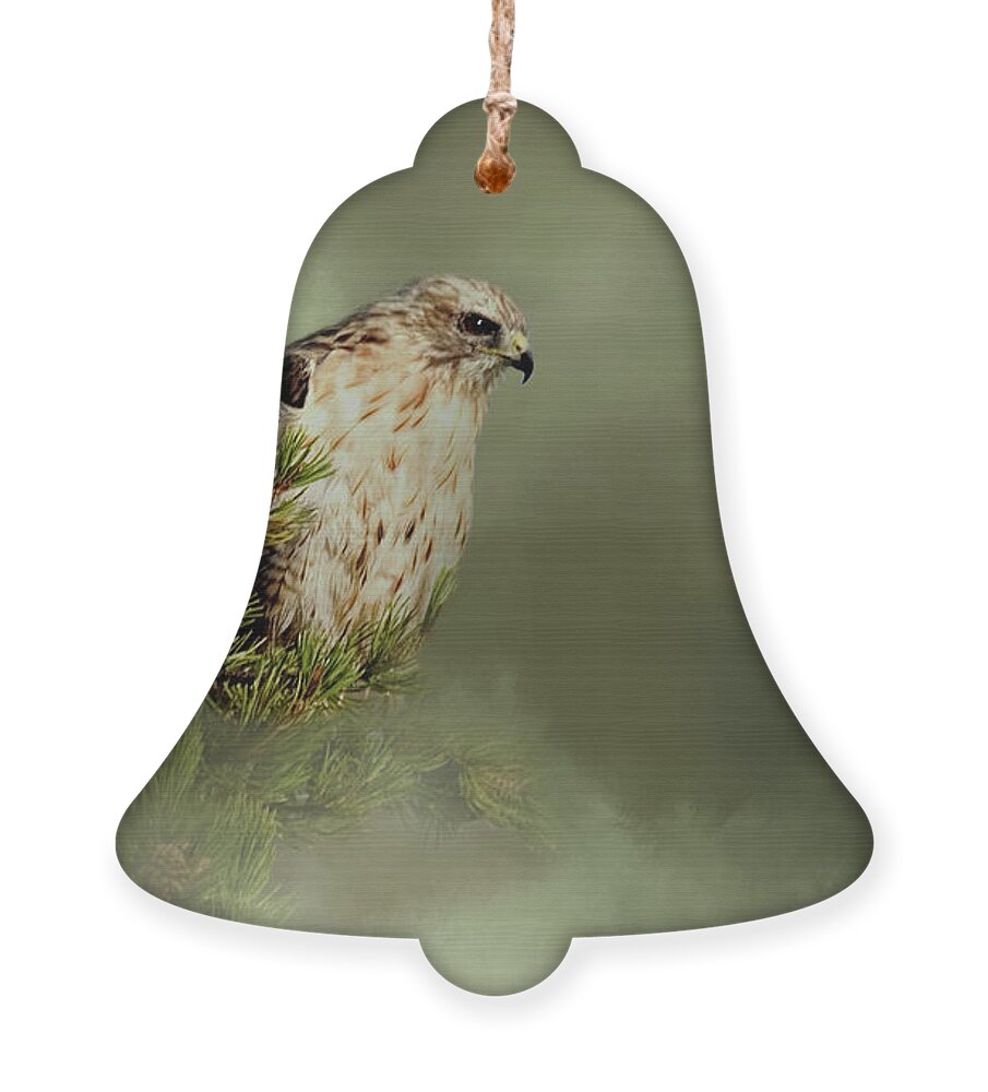 Animal Ornament featuring the photograph A Predators Watch by Lana Trussell