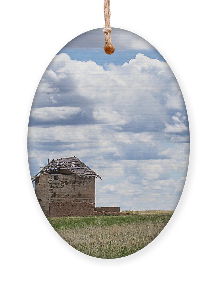 Colorado Plains Ornament featuring the photograph A Solitary Existance by Jim Garrison