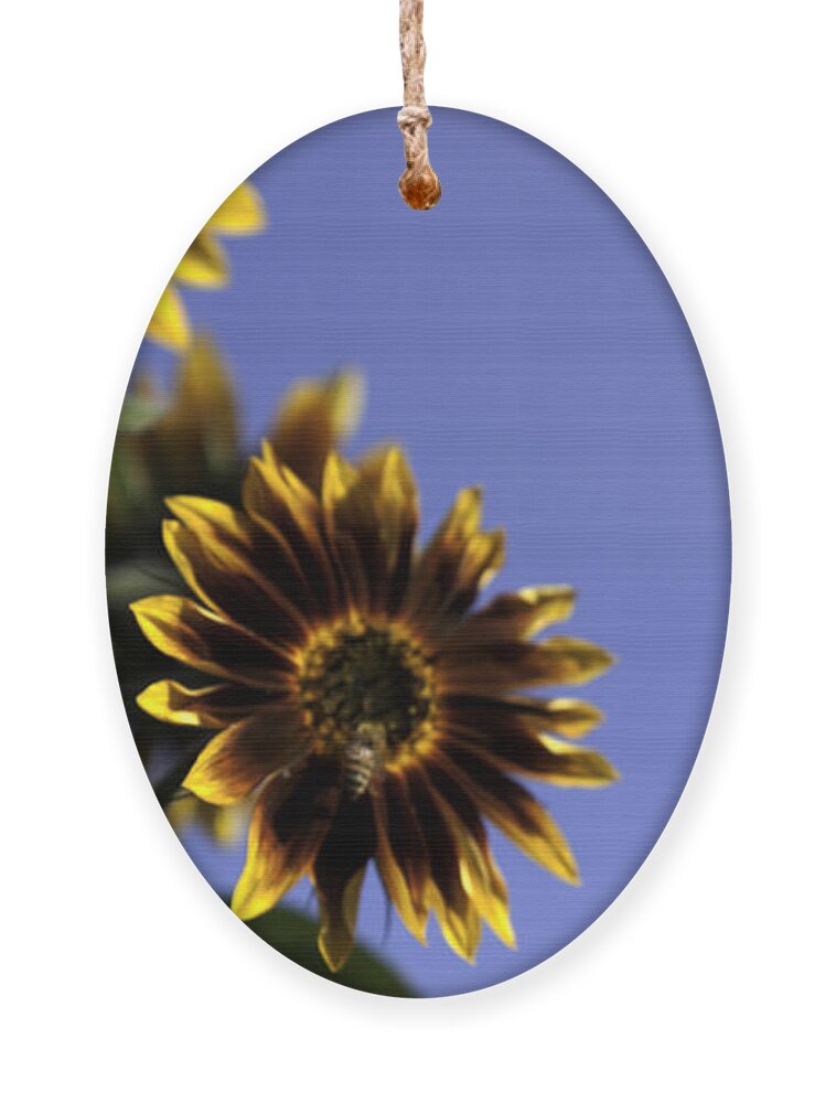 Sunflower Ornament featuring the photograph A summer's day by Lora Lee Chapman