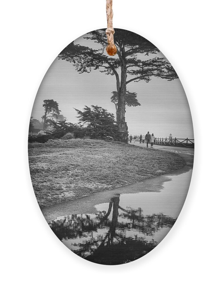 Tree Ornament featuring the photograph A Tree stands tall by Lora Lee Chapman