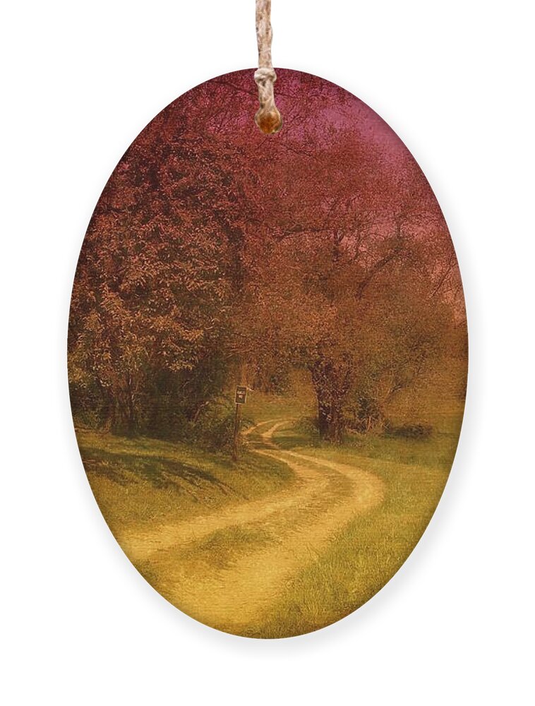 Country Ornament featuring the photograph A Winding Road - Bayonet Farm by Angie Tirado