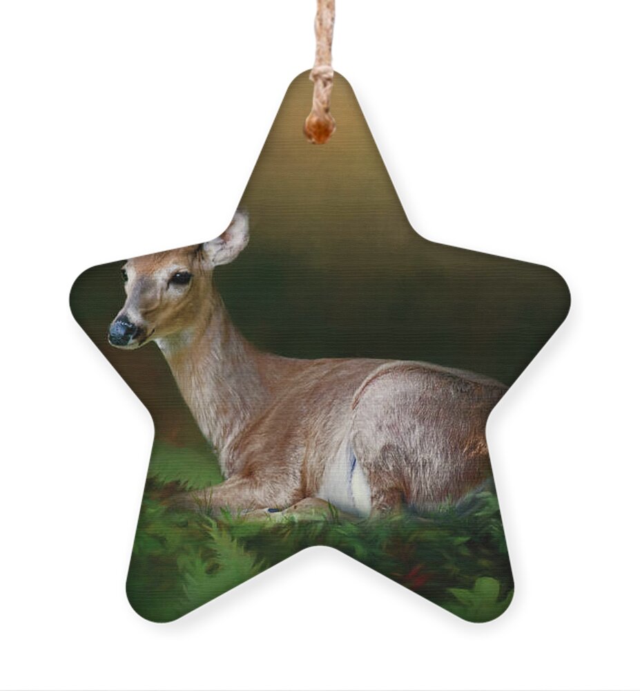 Animal Ornament featuring the photograph A Young Buck by Lana Trussell
