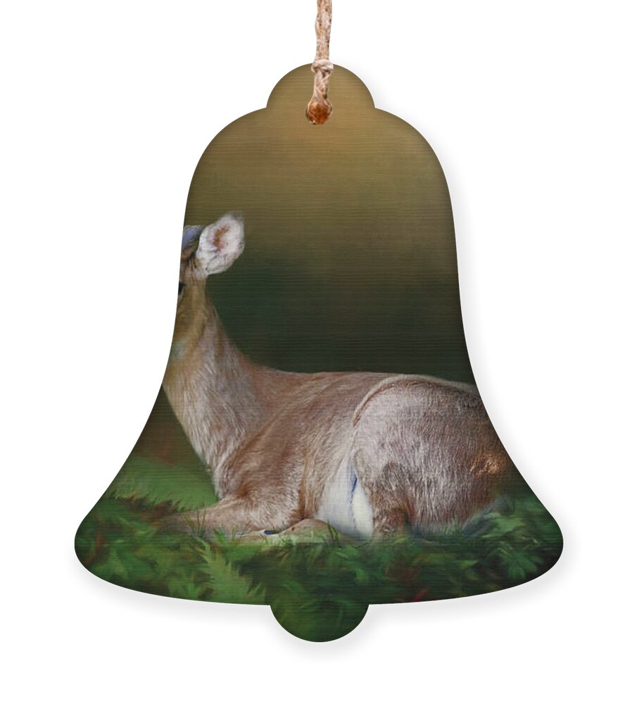 Animal Ornament featuring the photograph A Young Buck by Lana Trussell