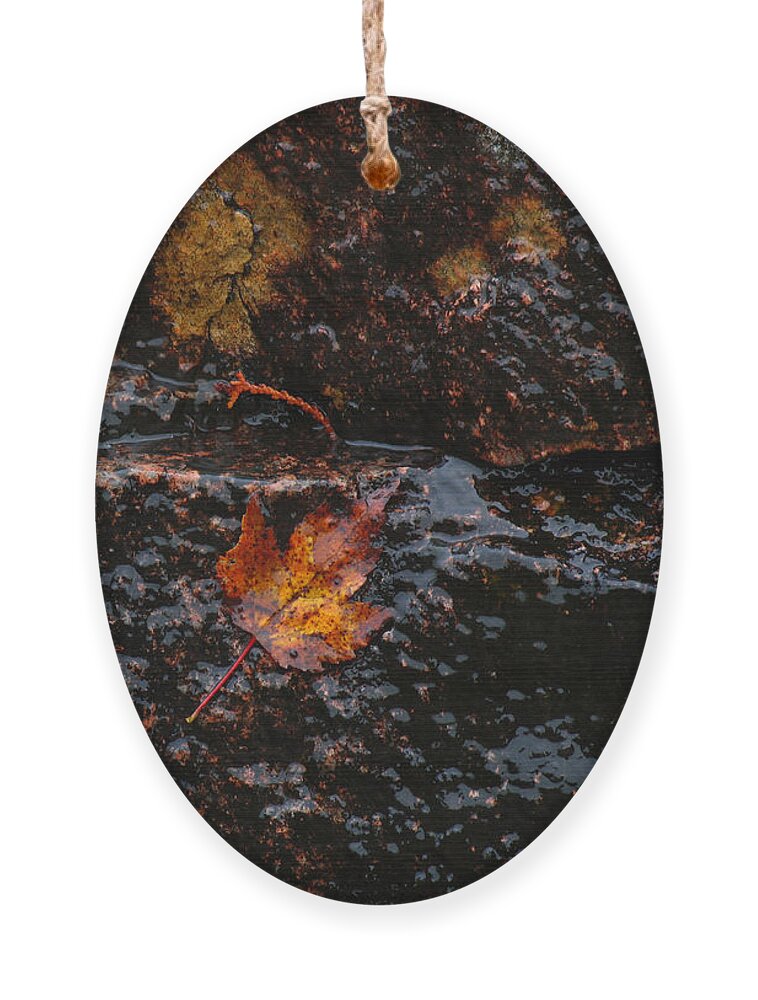 Acadia Np Ornament featuring the photograph Acadia Waterfall by Juergen Roth