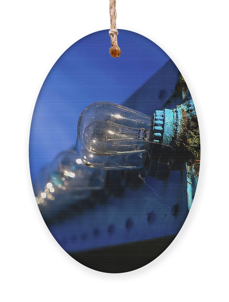 Lights Ornament featuring the photograph All the blue by Lora Lee Chapman