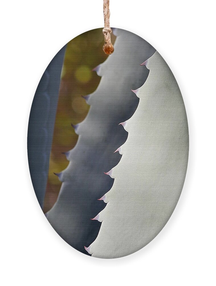 Richard Reeve Ornament featuring the photograph Aloe Abstract by Richard Reeve