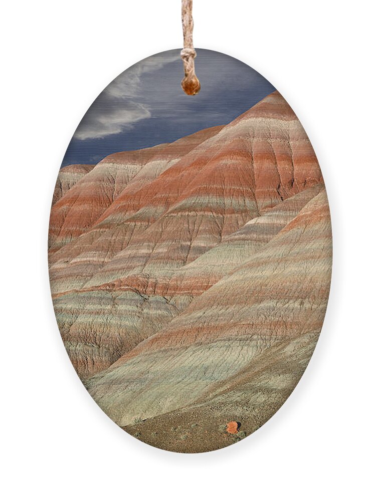 Paria Ornament featuring the photograph Along the Paria by Kathleen Bishop